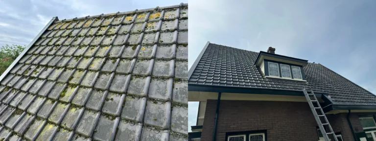 Dakreiniging Apeldoorn: dakpannen voor en na het verwijderen van mos met softwash